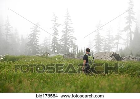 Man hiking in rural field View Large Photo Image Picture - Man hiking in rural field. Fotosearch