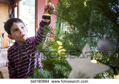 Picture - Mixed race boy decorating Christmas tree. Fotosearch