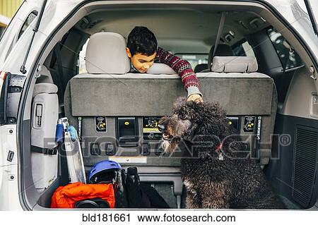 Stock Image - Mixed race boy petting dog in car hatch. Fotosearch