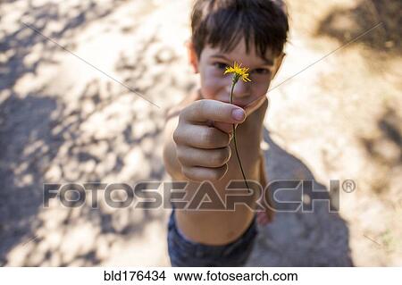 Picture - Mixed race boy picking flower. Fotosearch