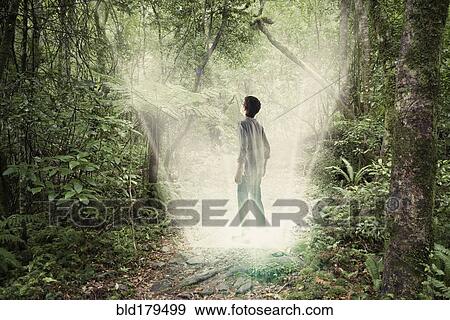 Mixed race boy standing in forest portal View Large Photo Image Stock Photo - Mixed race boy standing in forest portal. Fotosearch