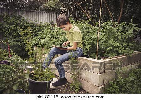 Mixed race boy using digital tablet in garden View Large Photo Image Stock Photograph - Mixed race boy using digital tablet in garden. Fotosearch