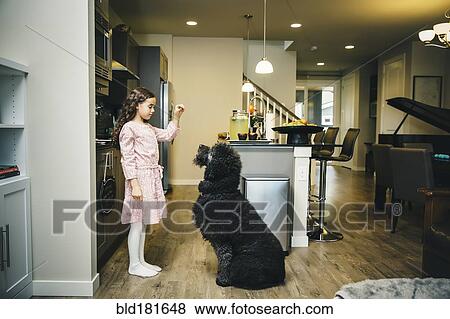 Stock Photo - Mixed race girl training dog in kitchen. Fotosearch