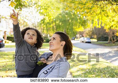 Mother and son admiring tree outdoors View Large Photo Image Stock Image - Mother and son admiring tree outdoors. Fotosearch