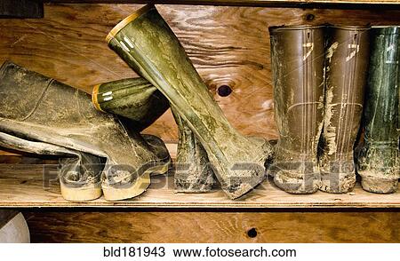 Muddy rainboots on shelf View Large Photo Image Stock Image - Muddy rainboots on shelf. Fotosearch
