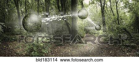 Picture - Orbs passing pixelated information in remote forest. Fotosearch
