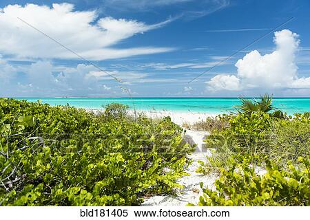 Stock Photography - Path through shrubs to beach. Fotosearch