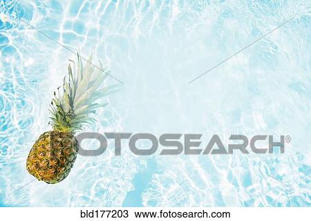 Stock Image - Pineapple floating in swimming pool. Fotosearch