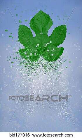 Pixelated leaf dissolving in sky View Large Photo Image Stock Photograph - Pixelated leaf dissolving in sky. Fotosearch
