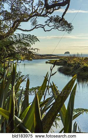 Stock Photography - River in remote landscape through tall grass. Fotosearch