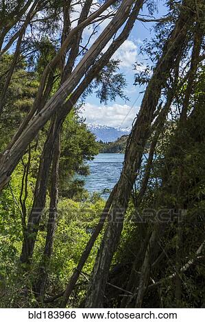 River in remote landscape through trees View Large Photo Image Stock Photograph - River in remote landscape through trees. Fotosearch