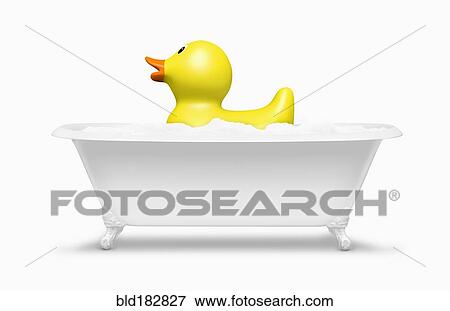 Rubber duck floating in bath View Large Photo Image Stock Photo - Rubber duck floating in bath. Fotosearch