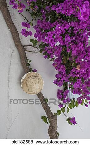 Sculpture and flowers on building exterior View Large Photo Image Stock Photo - Sculpture and flowers on building exterior. Fotosearch