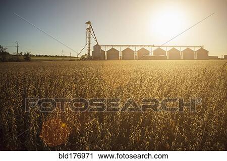 Stock Image - Silos and crops in farm field. Fotosearch