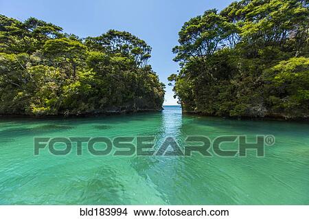 Picture - Sun over lush trees and remote ocean cove. Fotosearch