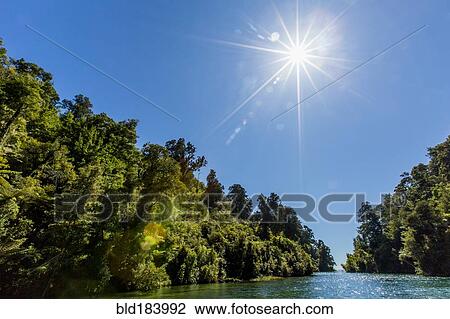 Sun over lush trees and remote river View Large Photo Image Stock Image - Sun over lush trees and remote river. Fotosearch