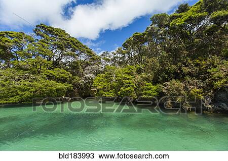 Stock Image - Sun over lush trees and remote river. Fotosearch