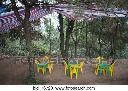 Tables and chairs under canopy in remote forest View Large Photo Image Stock Image - Tables and chairs under canopy in remote forest. Fotosearch