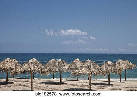 Thatch umbrellas on beach View Large Photo Image Stock Photo - Thatch umbrellas on beach. Fotosearch