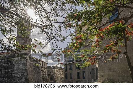 Stock Photography - Trees and historical buildings. Fotosearch