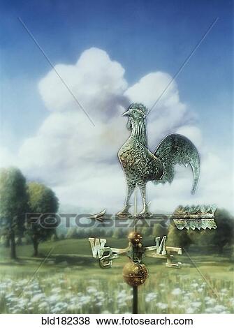 Stock Photo - Weathervane in rural landscape. Fotosearch