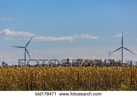 Stock Image - Wind turbines in rural field. Fotosearch