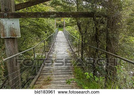 Stock Image - Wooden bridge in remote forest. Fotosearch