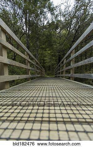 Stock Photograph - Wooden walkway in rural forest. Fotosearch