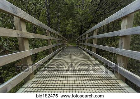 Stock Photography - Wooden walkway in rural forest. Fotosearch