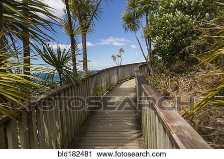 Stock Image - Wooden walkway on hillside. Fotosearch