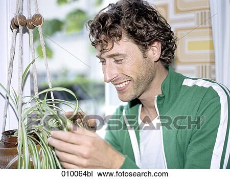 caucasian male taking care of potted plant, smiling View Large Photo Image Stock Image - caucasian male taking care of potted plant, smiling. Fotosearch