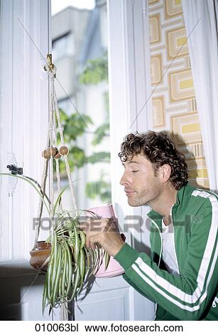 caucasian male watering a plant View Large Photo Image Stock Image - caucasian male watering a plant. Fotosearch