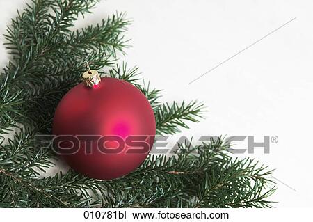 Stock Image - christmas bauble on a fir branch. Fotosearch