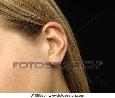 Close-up of a woman´s ear View Large Photo Image Stock Image - Close-up of a woman´s ear. Fotosearch