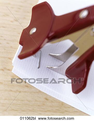 Close-up of red stapler trying to remove staple View Large Photo Image Stock Image - Close-up of red stapler trying to remove staple. Fotosearch