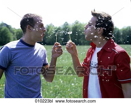 Stock Image - gay couple (20-25 years) teasing each other with dandelion. Fotosearch