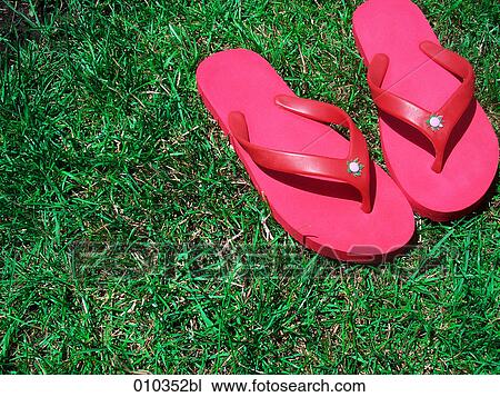 Stock Image - pink flip flops in the grass. Fotosearch