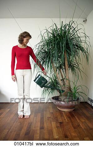 woman watering potted plant View Large Photo Image Stock Image - woman watering potted plant. Fotosearch
