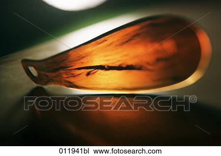 close-up of little object embedded in amber View Large Photo Image Stock Image - close-up of little object embedded in amber. Fotosearch