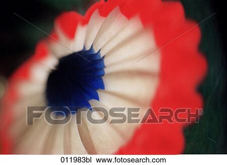 cockade in red white and blue View Large Photo Image Stock Image - cockade in red white and blue. Fotosearch