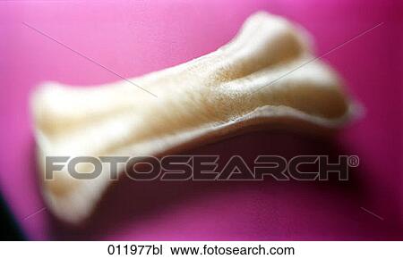 still life of dog biscuit View Large Photo Image Stock Image - still life of dog biscuit. Fotosearch