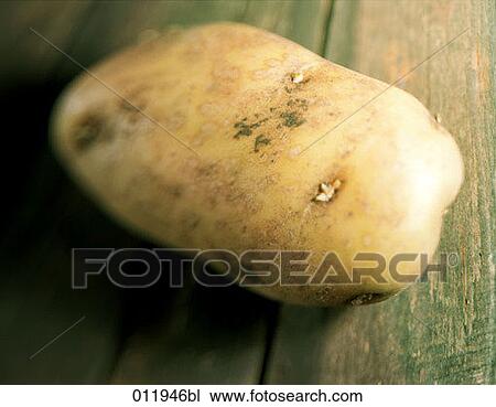 still life of potato View Large Photo Image Stock Image - still life of potato. Fotosearch