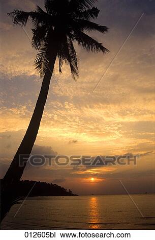 sunset over tropical beach View Large Photo Image Stock Image - sunset over tropical beach. Fotosearch