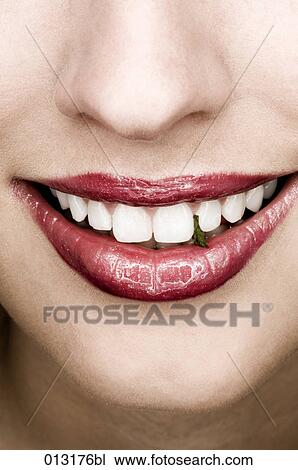 Bernd Eberle, adults, artificial light, caucasian View Large Photo Image Stock Image - Bernd Eberle, adults, artificial light, caucasian. Fotosearch