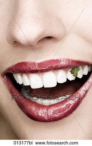 Stock Image - Bernd Eberle, adults, artificial light, caucasian. Fotosearch
