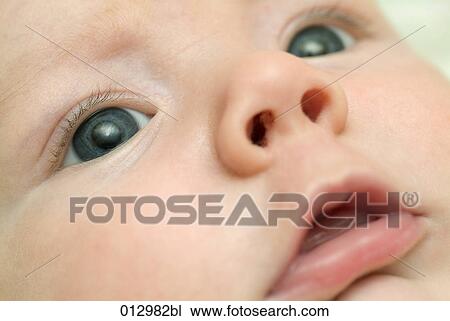 blue eyed, Vladimir Godnik, baby, babies, artificial light, 6-12 months View Large Photo Image Stock Image - blue eyed, Vladimir Godnik, baby, babies, artificial light, 6-12 months. Fotosearch