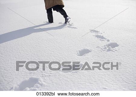 Halasz Burow, adults, cold View Large Photo Image Stock Image - Halasz Burow, adults, cold. Fotosearch