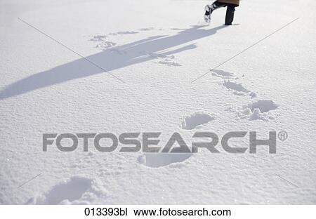 Halasz + Burow, adults, cold View Large Photo Image Stock Image - Halasz + Burow, adults, cold. Fotosearch