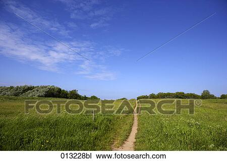 Halasz + Burow, blue sky, daylight, daytime View Large Photo Image Stock Image - Halasz + Burow, blue sky, daylight, daytime. Fotosearch