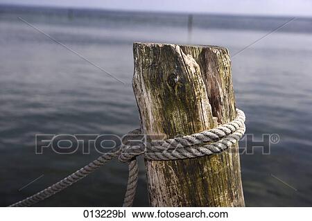 Stock Image - Halasz + Burow, bonding, close-up. Fotosearch